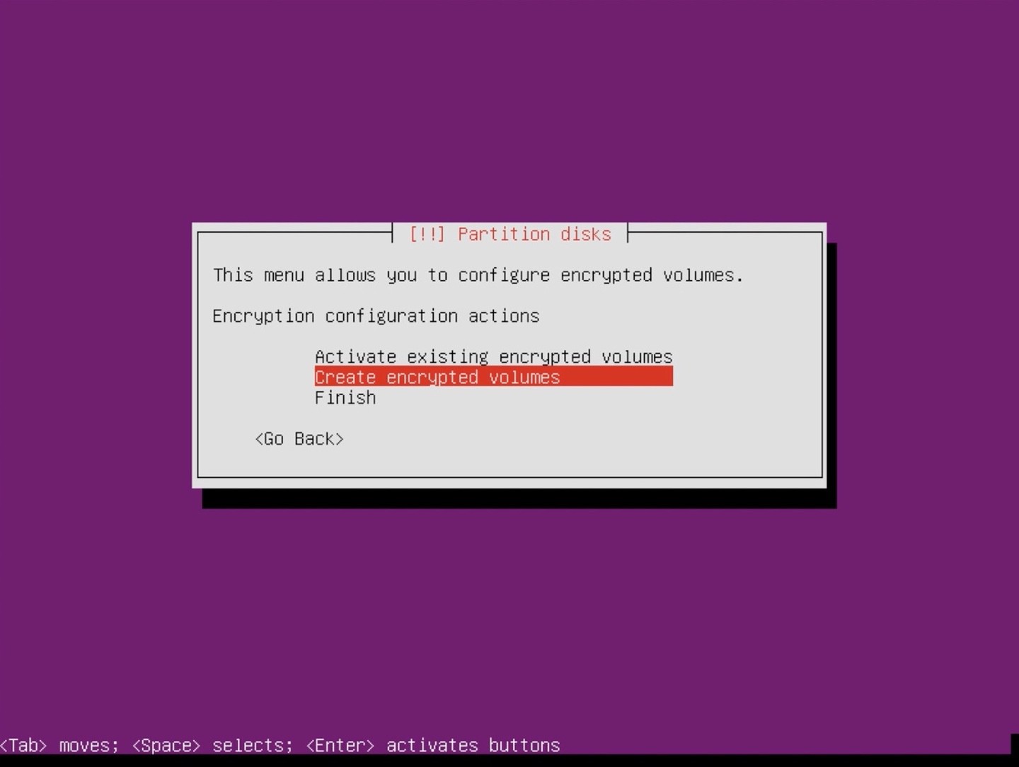 Ubuntu Server installer partition create encrypte volume