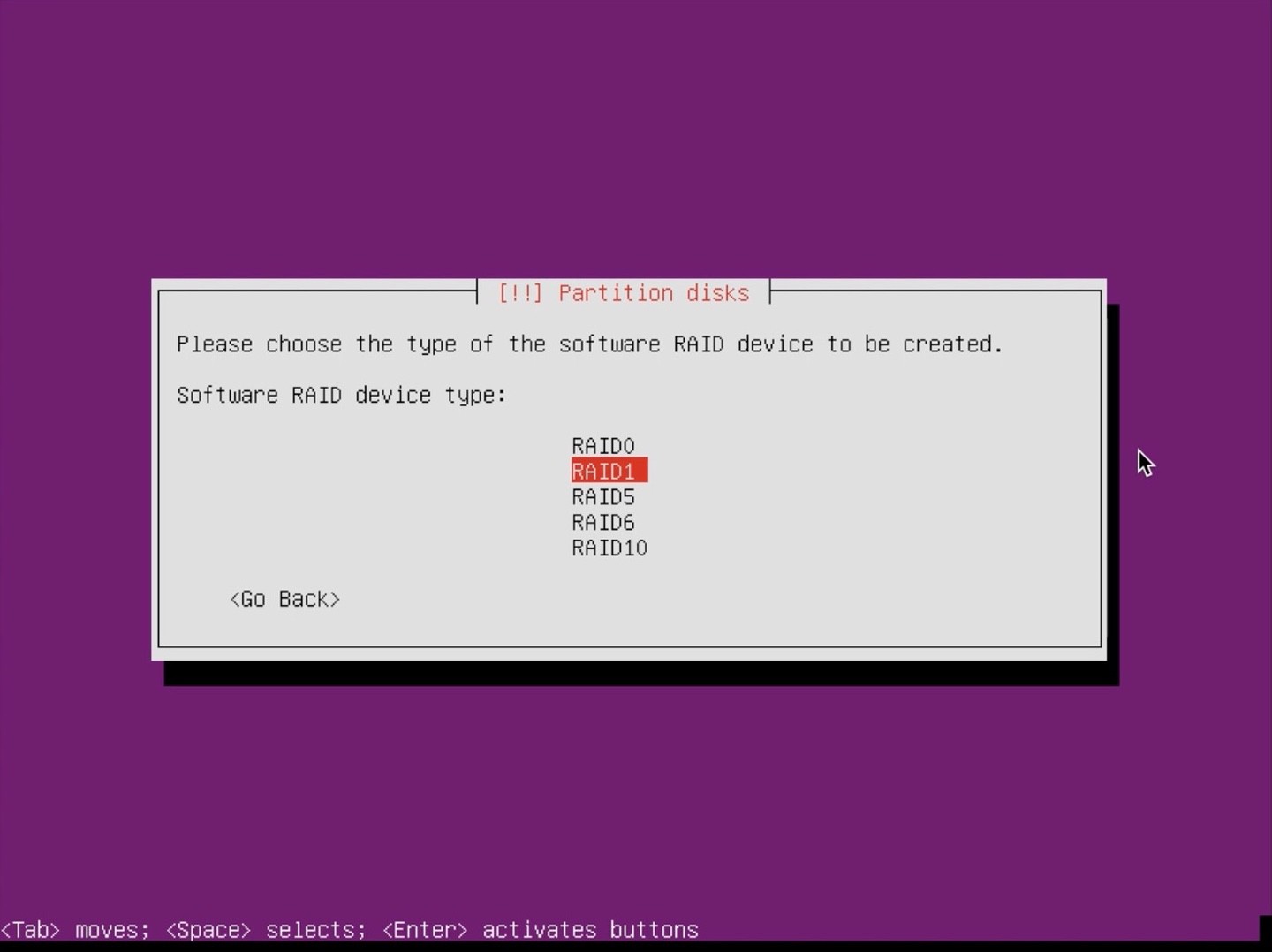 Ubuntu Server installer partition select raid 1