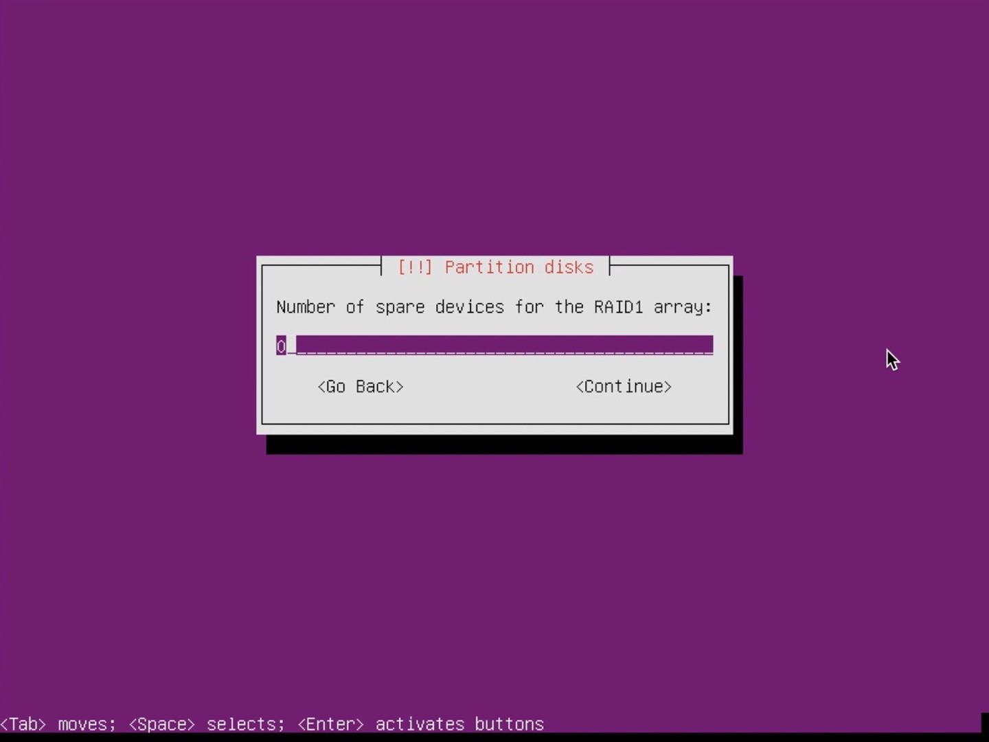 Ubuntu Server installer partition set 0 spare devices