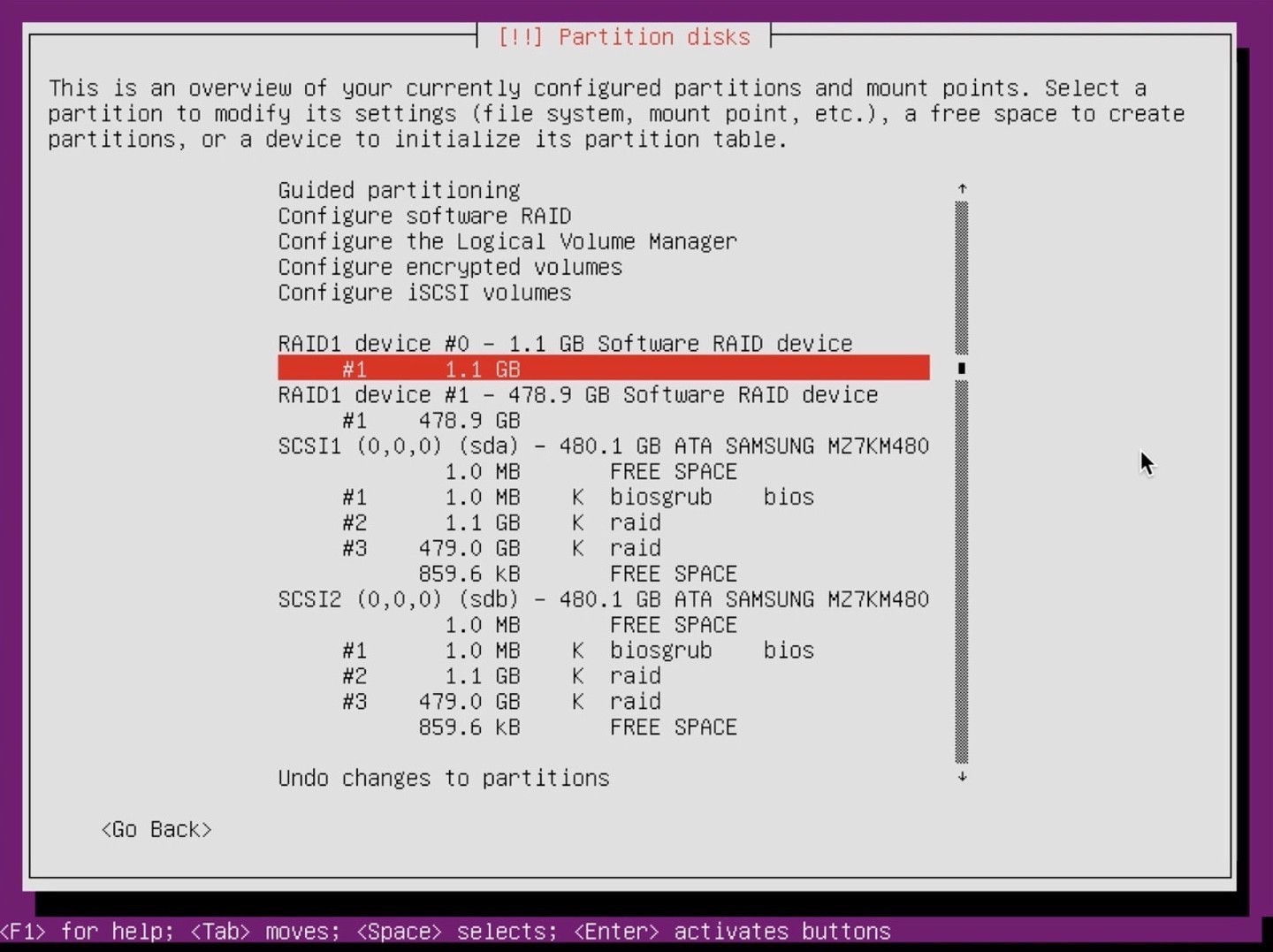 Ubuntu Server installer partition select 1gb raid device