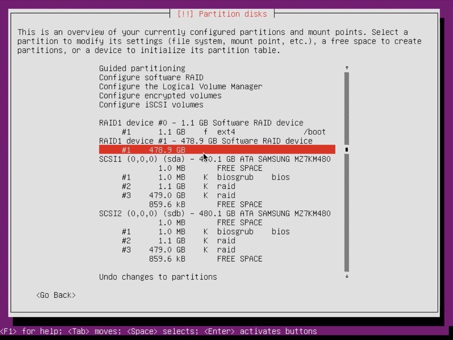 Ubuntu Server installer partition- elect big raid device