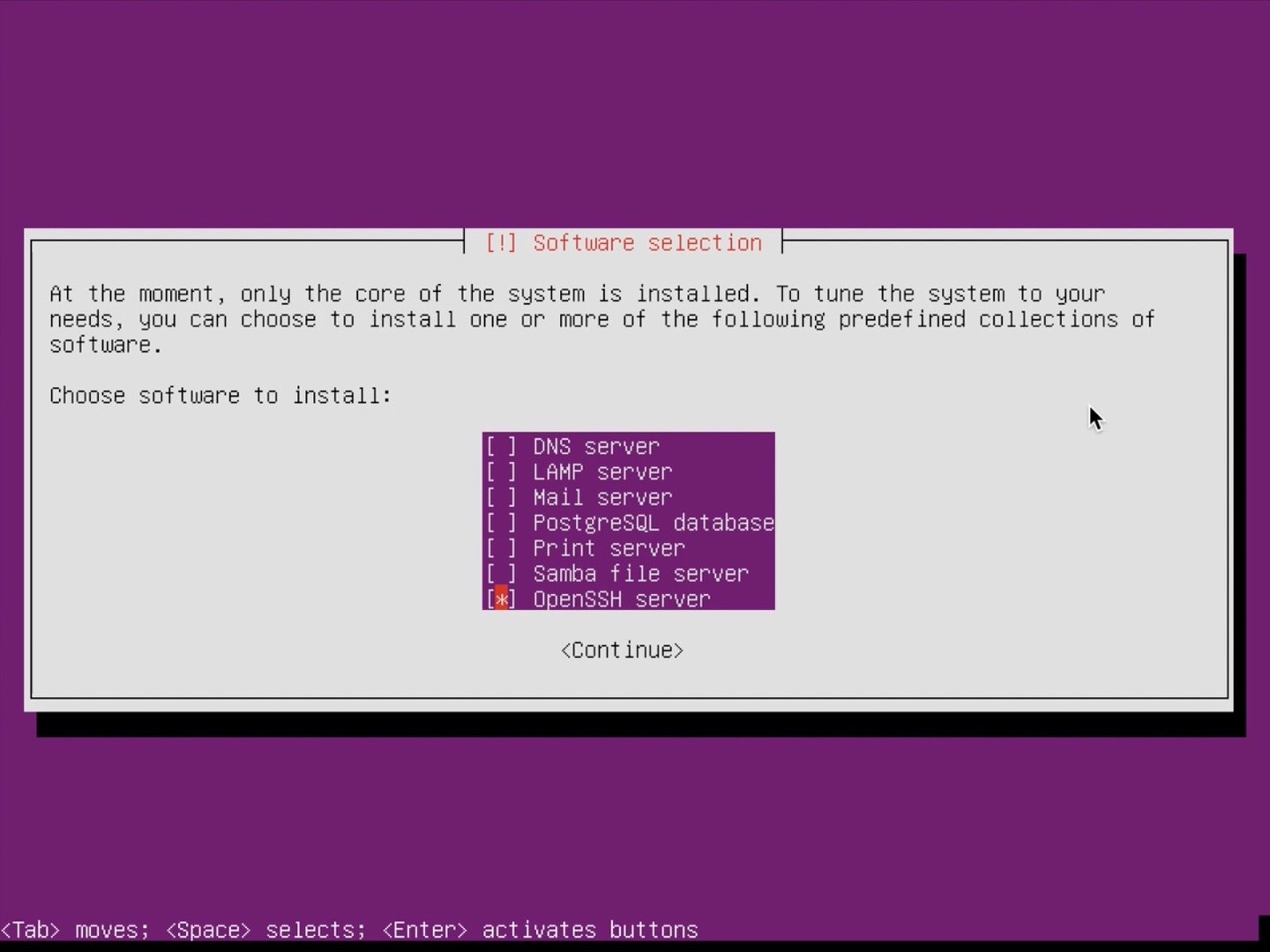 Ubuntu Server installer select openssh server